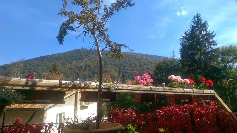 Bistro-Pension La Teleferic Синая Экстерьер фото