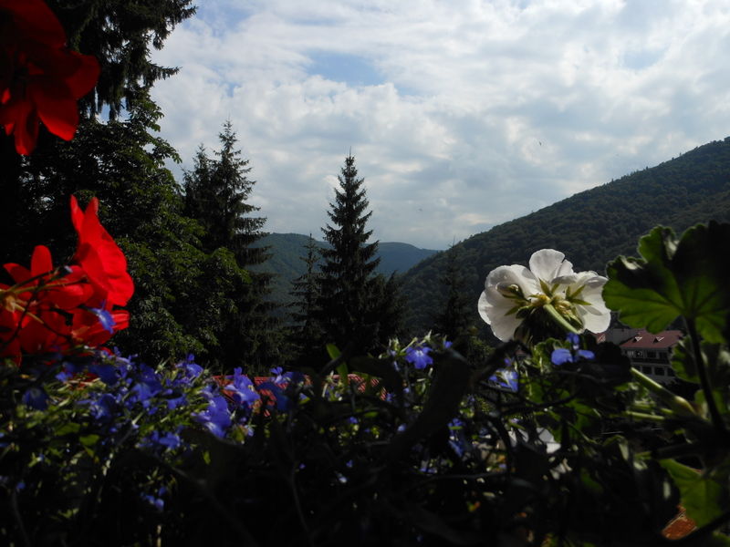 Bistro-Pension La Teleferic Синая Экстерьер фото