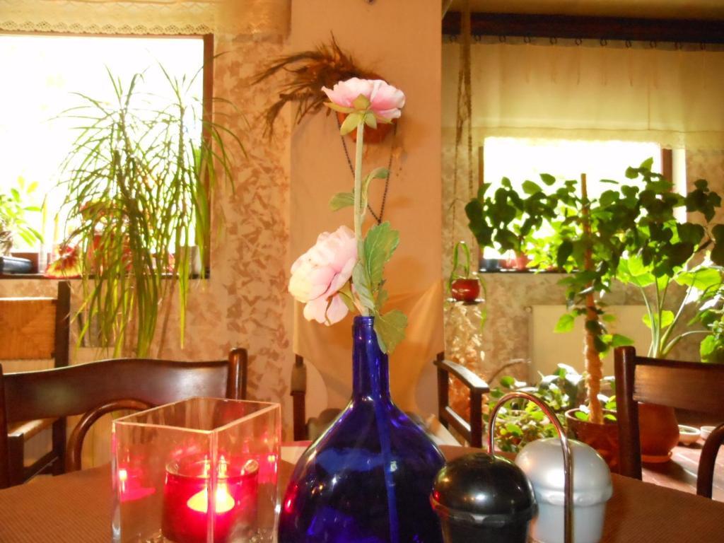 Bistro-Pension La Teleferic Синая Экстерьер фото