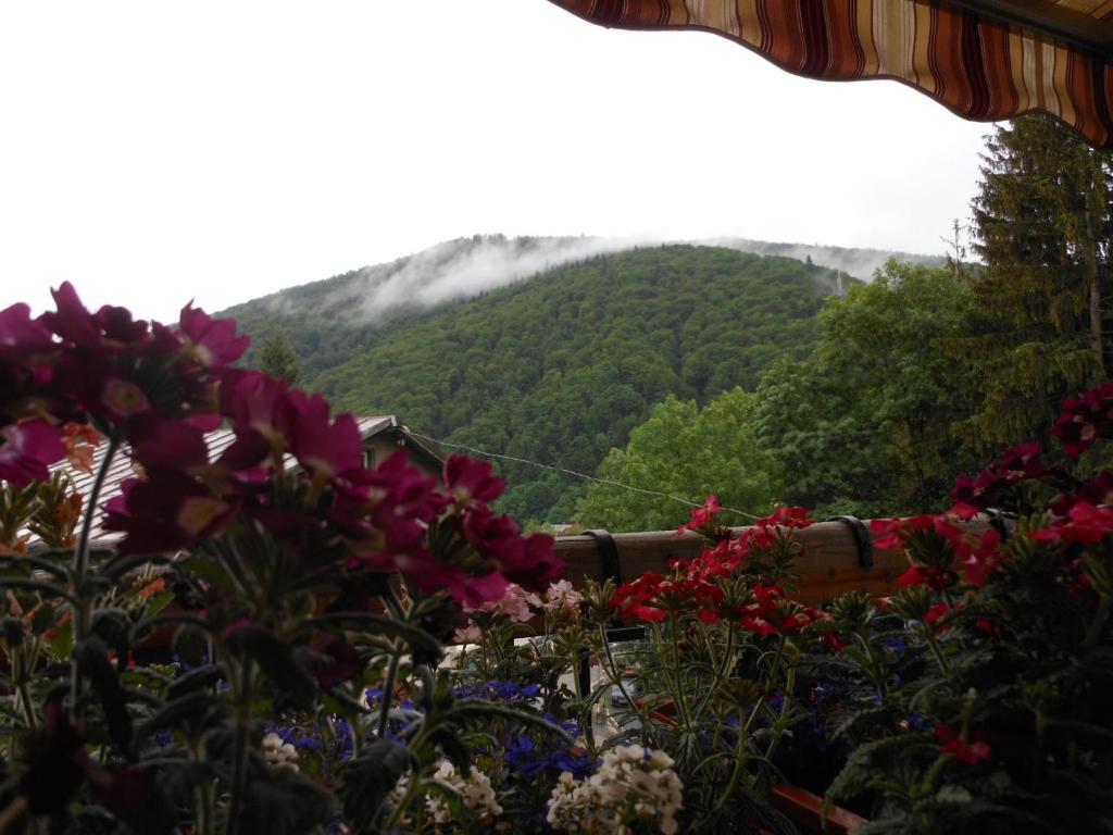 Bistro-Pension La Teleferic Синая Экстерьер фото